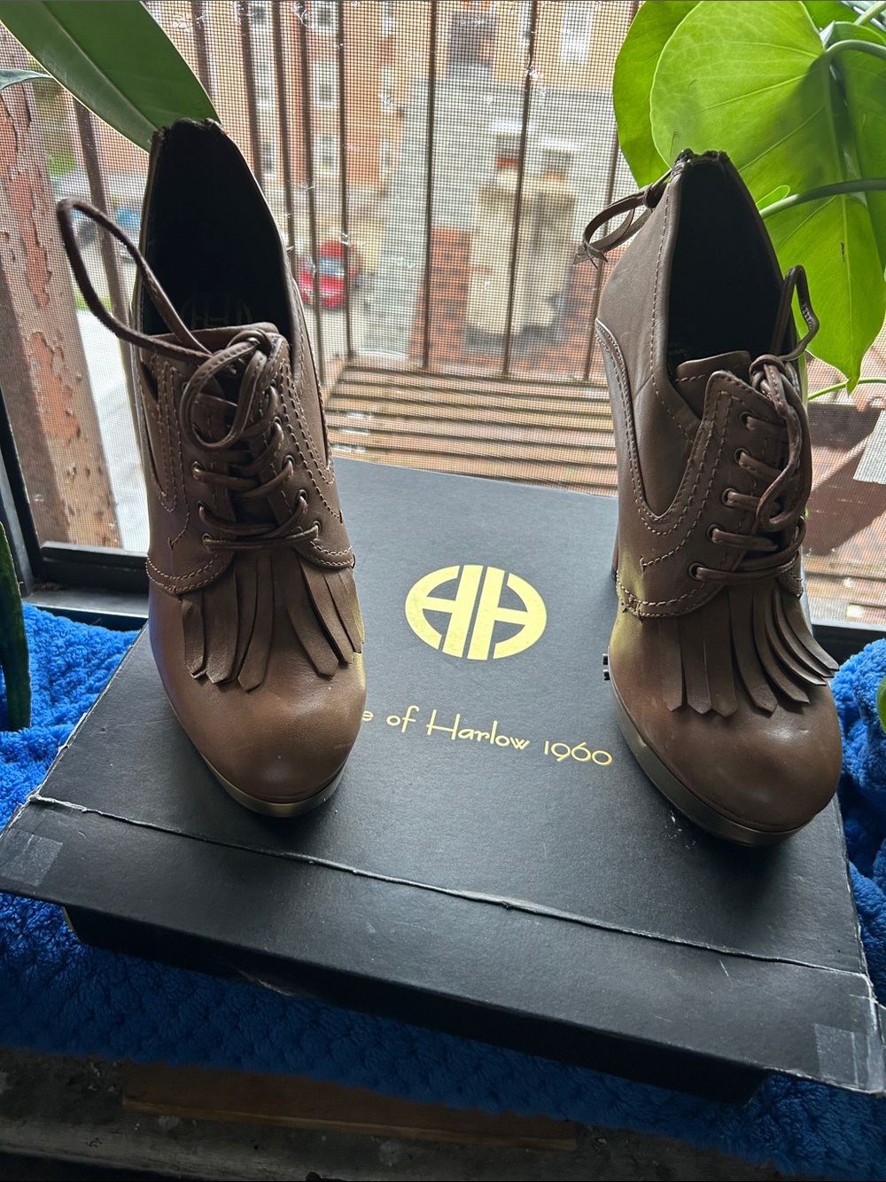 House of Harlow 1960 Brown Fringe Lace-Up Heeled Booties BRAND NEW IN BOX UNWORN